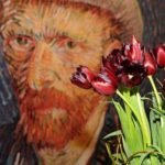 Portrait of Van Gogh made up of thousands of tulips