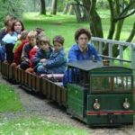 A little steam engine in Forest