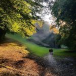 Autumn in Brussels