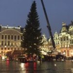 Christmas tree for Grand Place from Slovakia